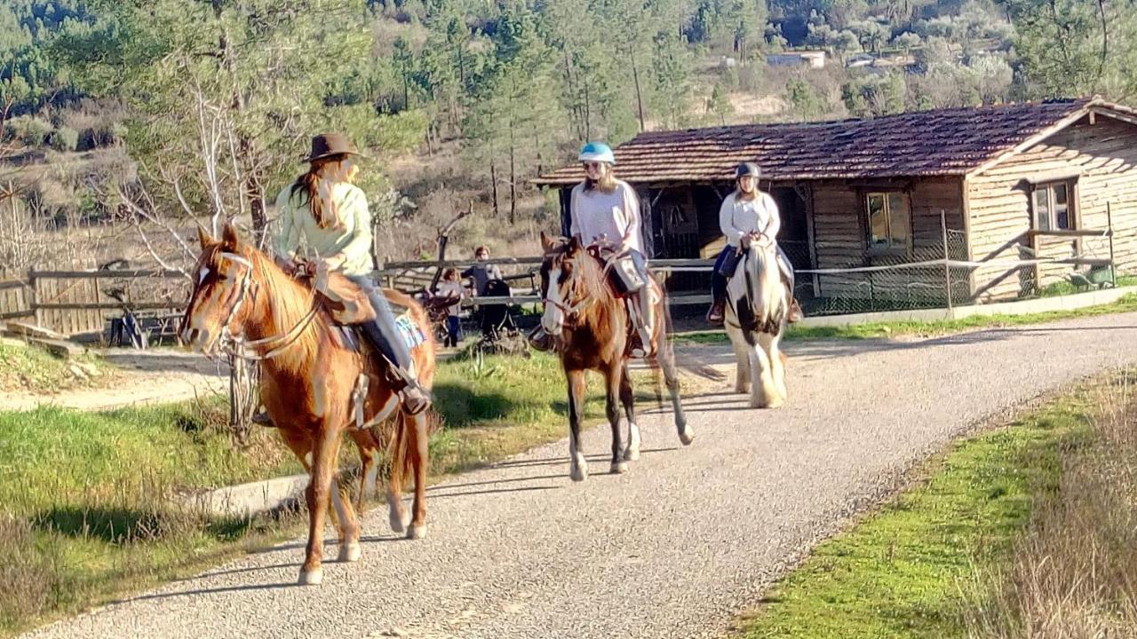 Montes da SenhoraRefugio Do Raposo/Casa Altair别墅 外观 照片